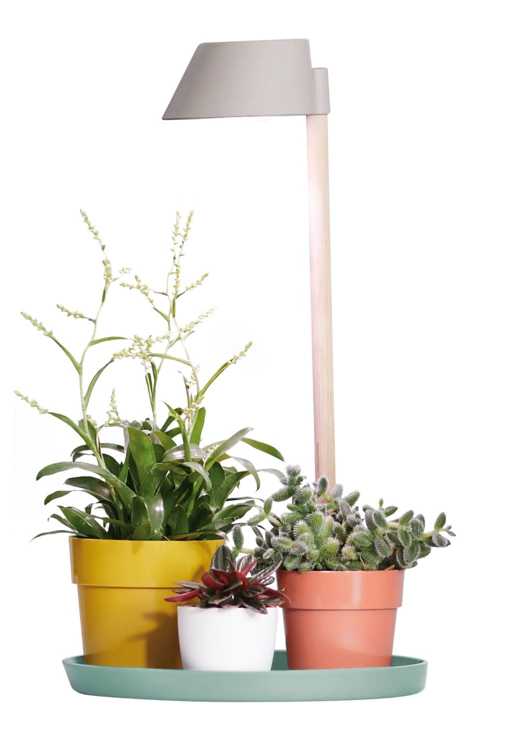 elho Plant Light Care